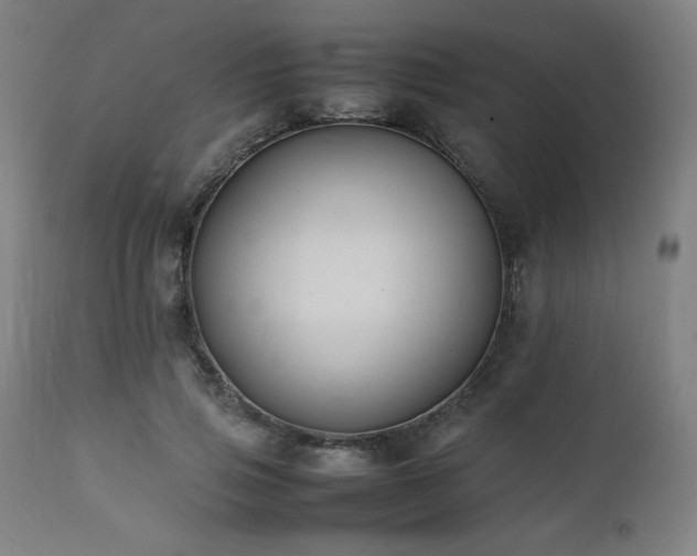 X0000112050741200908041150