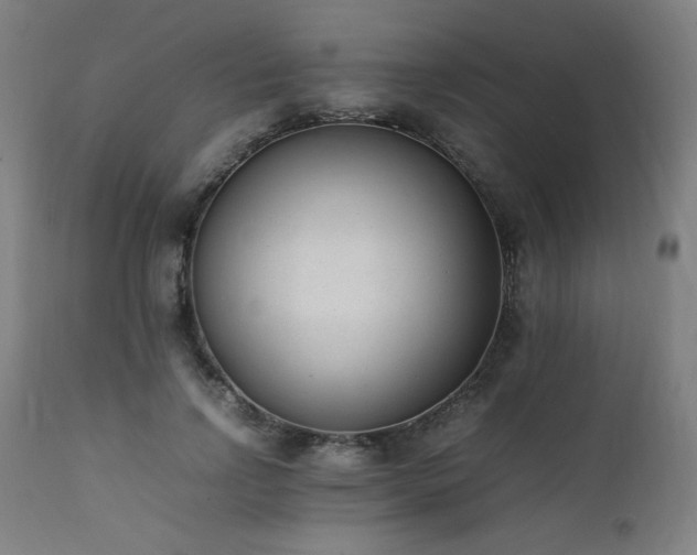 X0000112050742200908041150