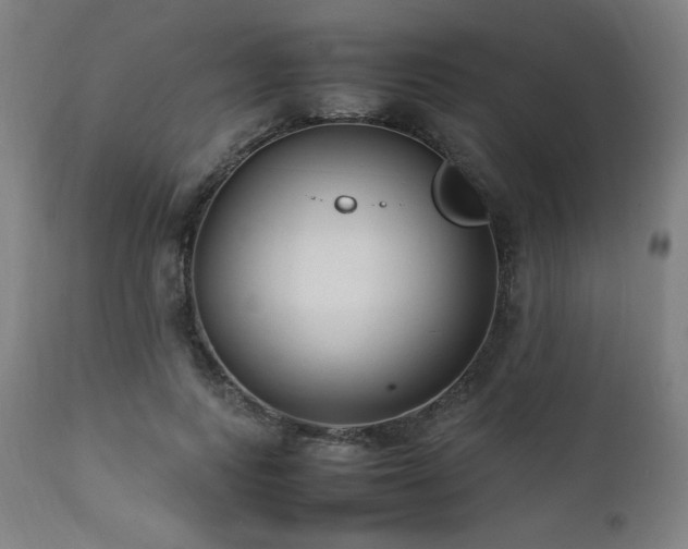 X0000112050743200908041150