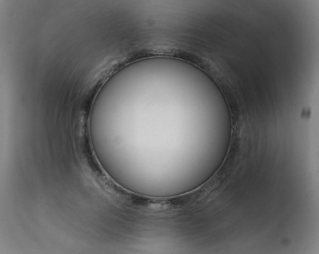 X0000112050744200908041150