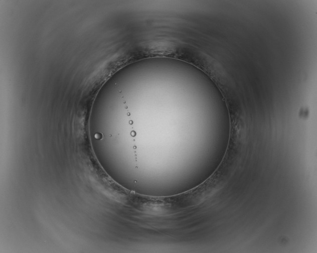X0000112050745200908041150