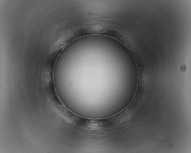 X0000112050746200908041150