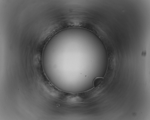 X0000112050747200908041150
