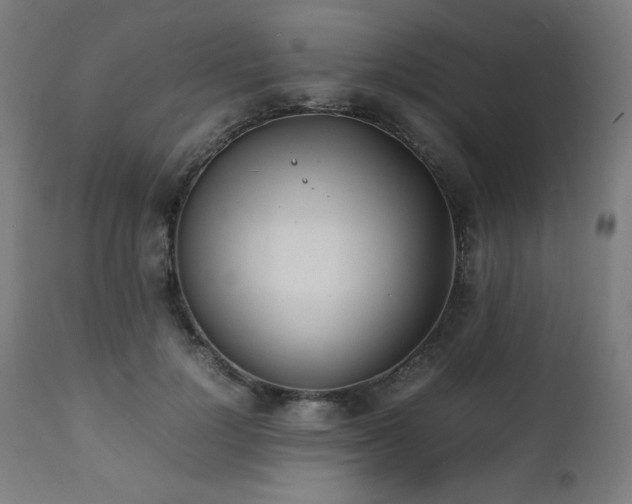 X0000112050748200908041150