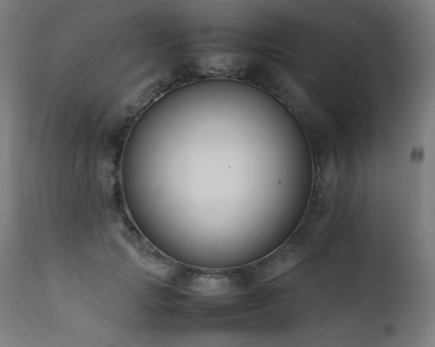 X0000112050749200908041150