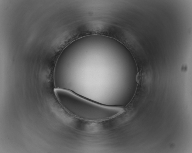 X0000112050750200908041150