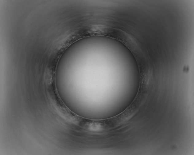X0000112050751200908041150
