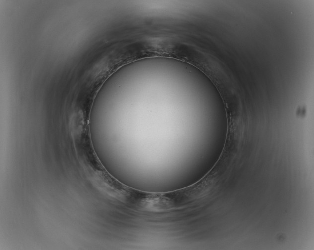 X0000112050752200908041150