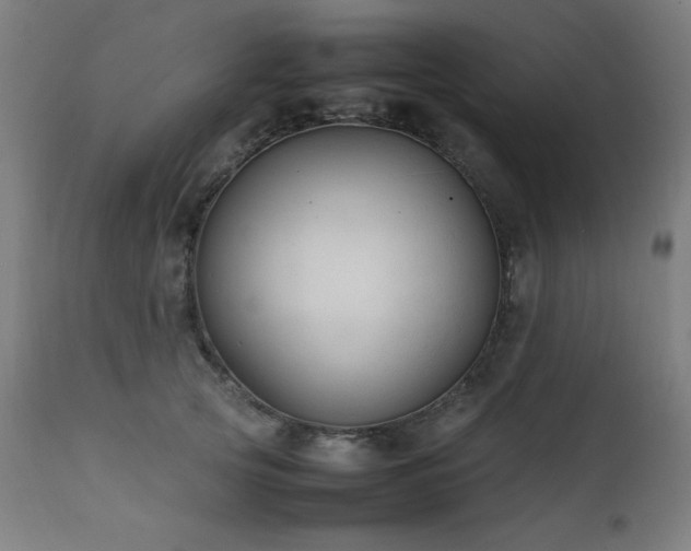 X0000112050753200908041150