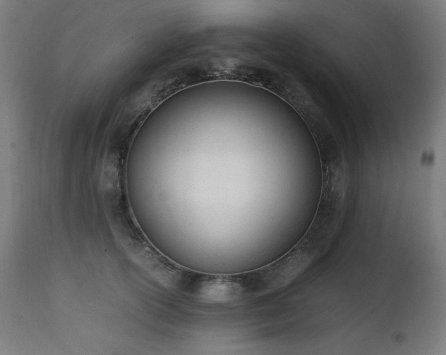 X0000112050754200908041150