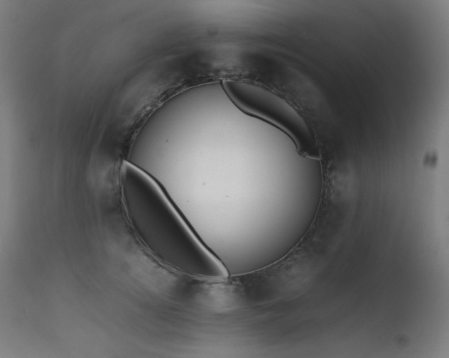X0000112050756200908041150