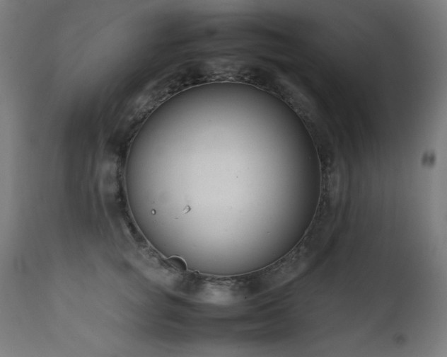 X0000112050757200908041150