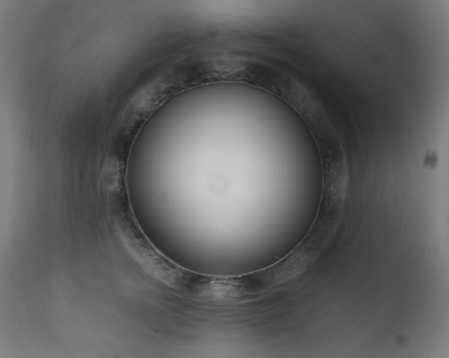 X0000112050758200908041150