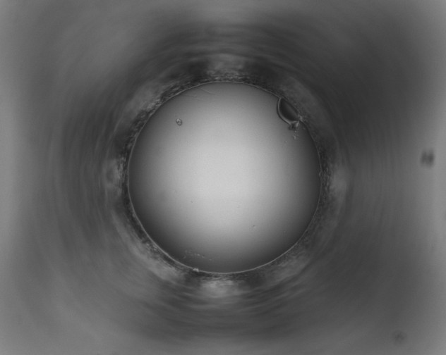 X0000112050759200908041150