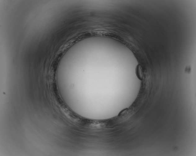 X0000112050760200908041150