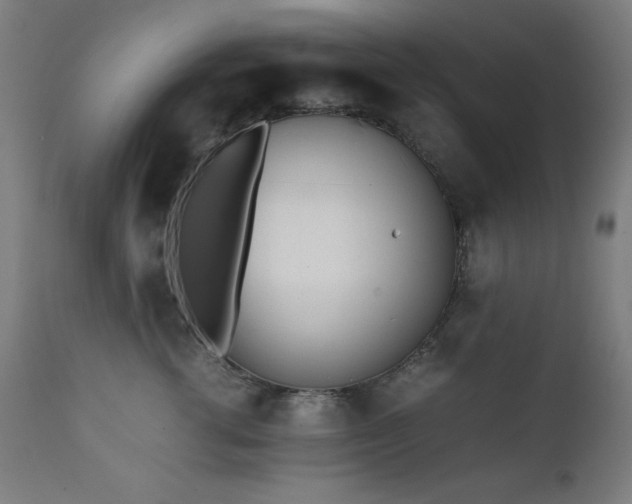 X0000112050762200908041150