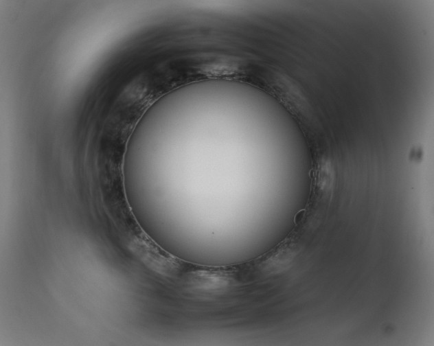 X0000112050763200908041150