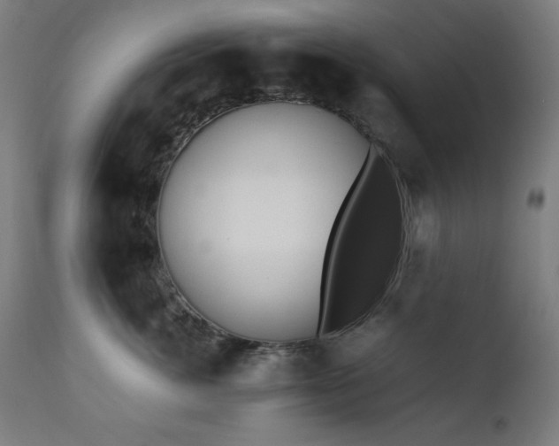 X0000112050764200908041150