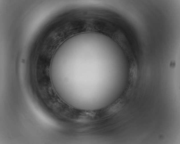 X0000112050765200908041150