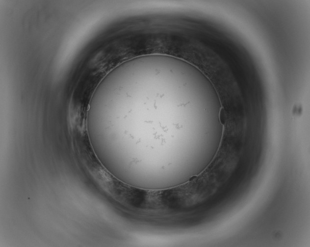 X0000112050766200908041150