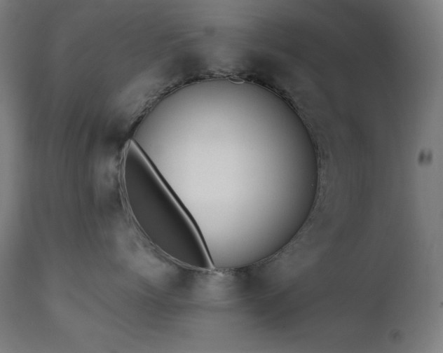 X0000112050768200908041150