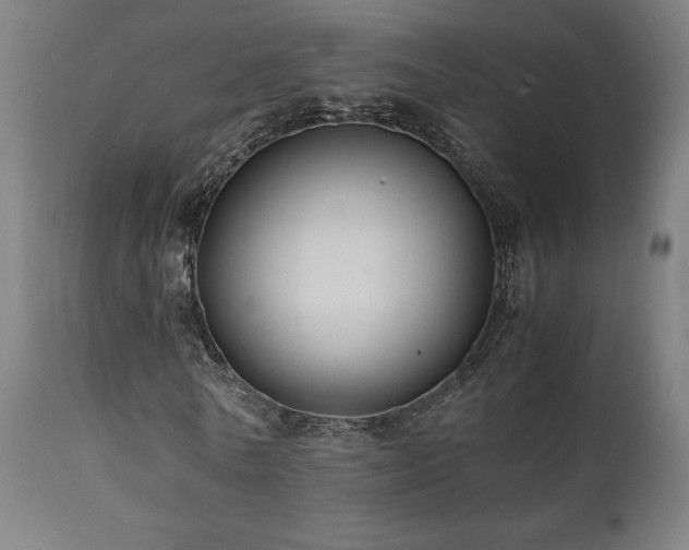 X0000112050770200908041149