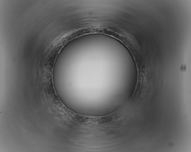X0000112050773200908041149