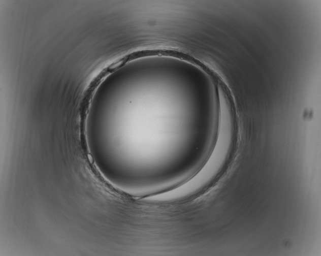 X0000112050781200908041149