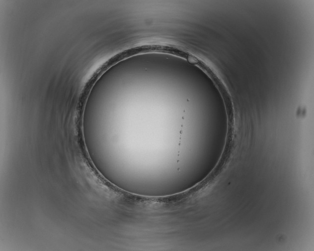 X0000112050783200908041149