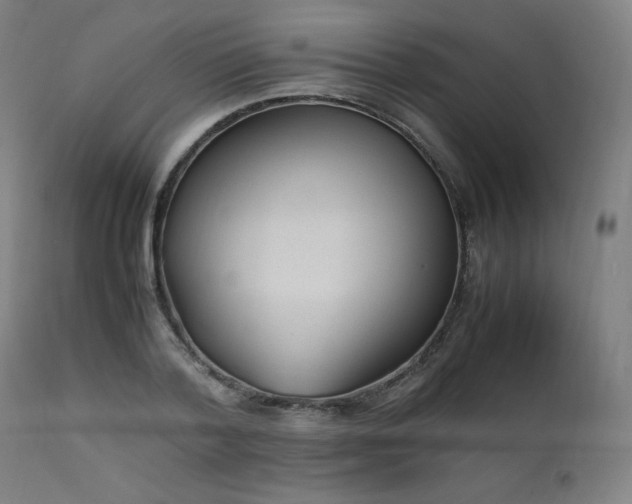 X0000112050788200908041149