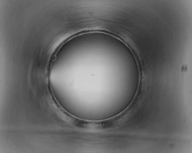 X0000112050789200908041149