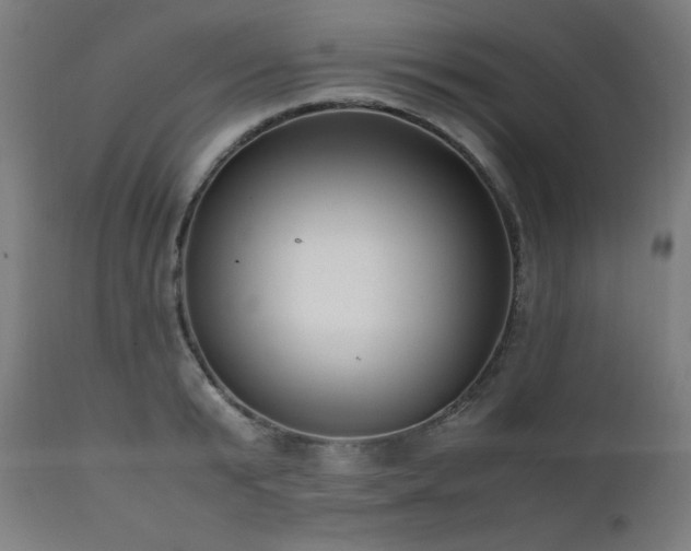 X0000112050799200908041149