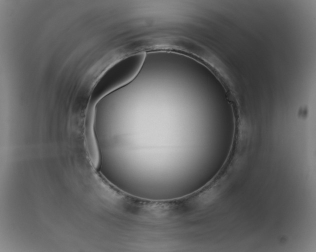 X0000112050801200908041149