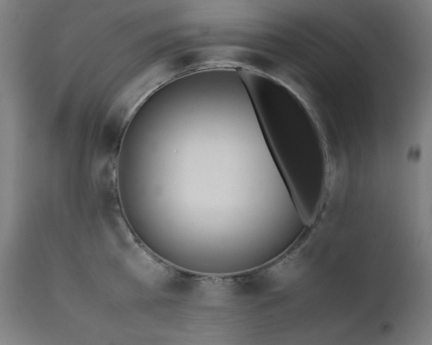 X0000112050809200908041149