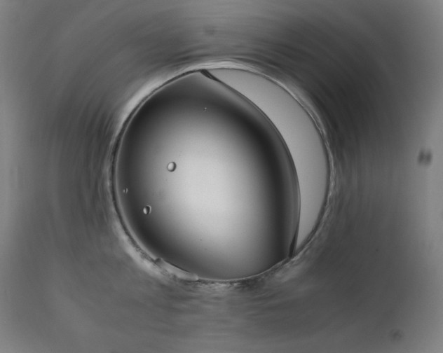 X0000112050813200908041149