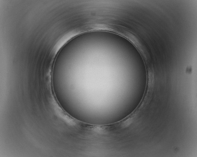 X0000112050814200908041149