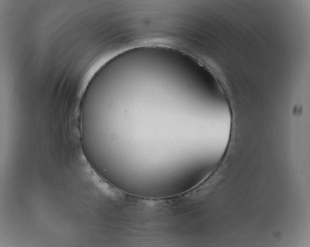X0000112050816200908041149