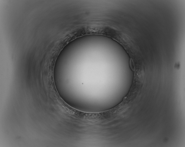 X0000112050817200908041148