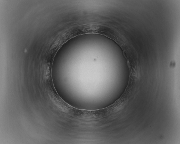 X0000112050818200908041148
