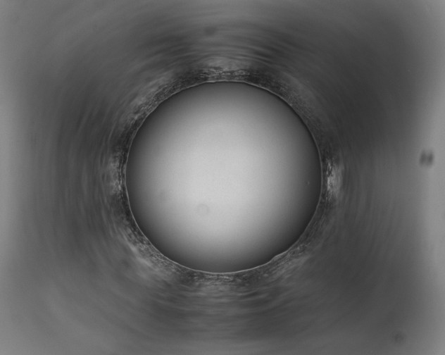 X0000112050819200908041148