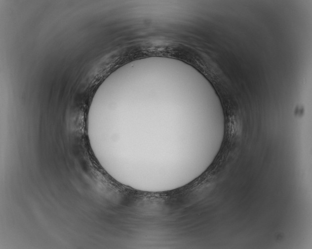 X0000112050820200908041148