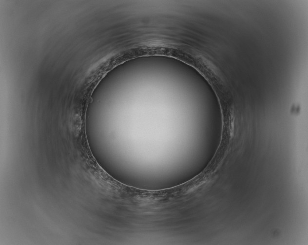 X0000112050821200908041148