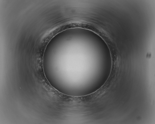 X0000112050822200908041148