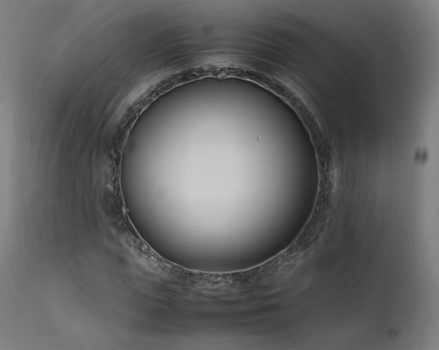 X0000112050823200908041148
