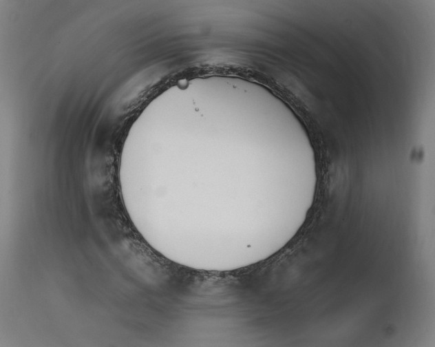 X0000112050824200908041148