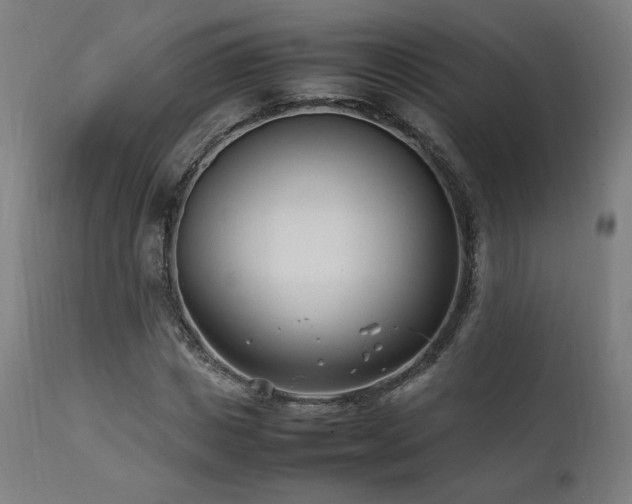 X0000112050825200908041148