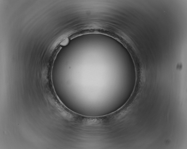 X0000112050826200908041148