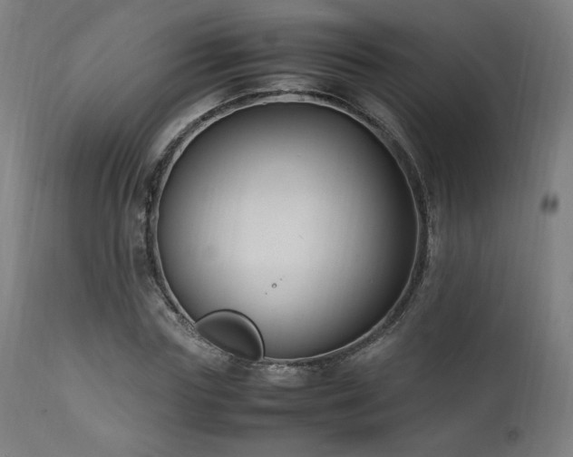 X0000112050827200908041148