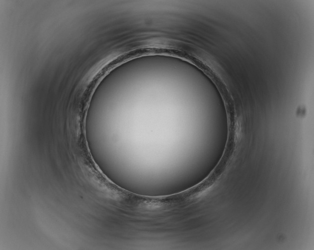 X0000112050829200908041148