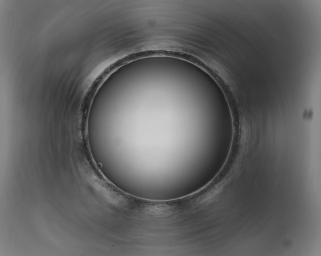 X0000112050830200908041148